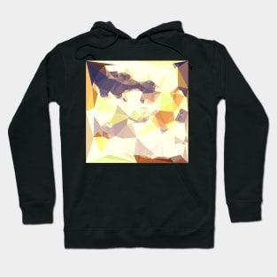 Golden Wheat Abstract Low Polygon Background Hoodie